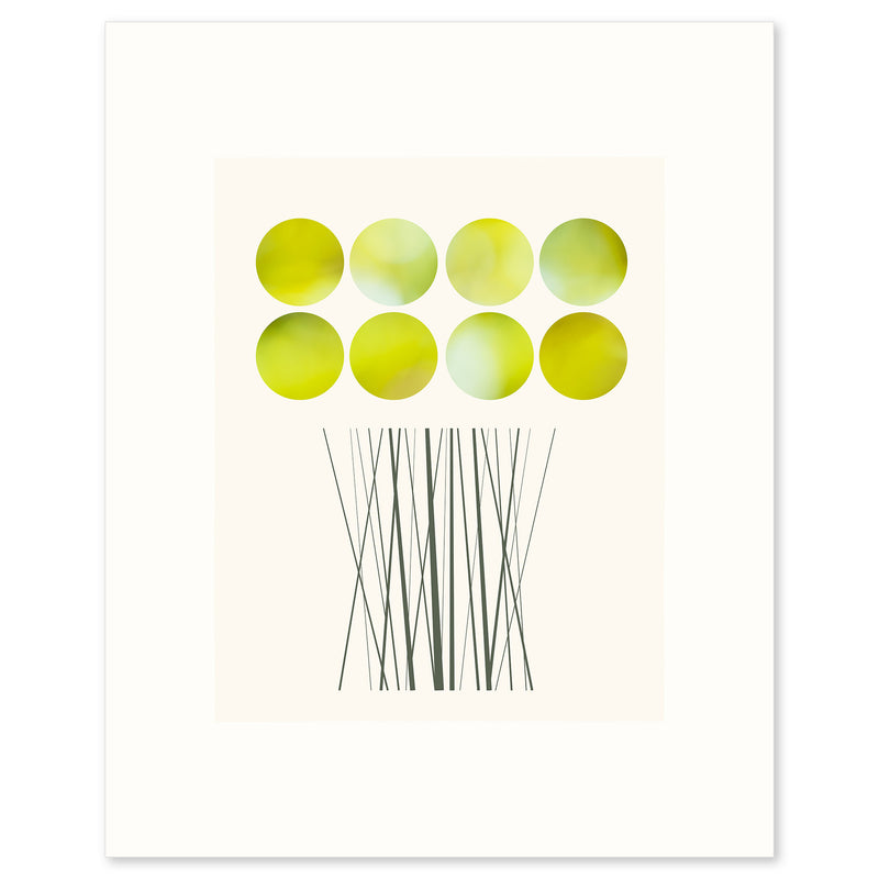 A limited edition fine art print based on a glorious bunch of Daffodils by Janet Taylor | Household Art..