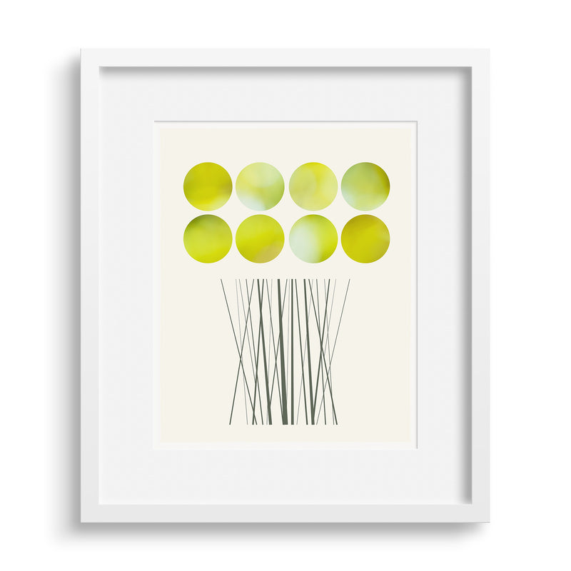A limited edition fine art print based on a glorious bunch of Daffodils by Janet Taylor | Household Art..