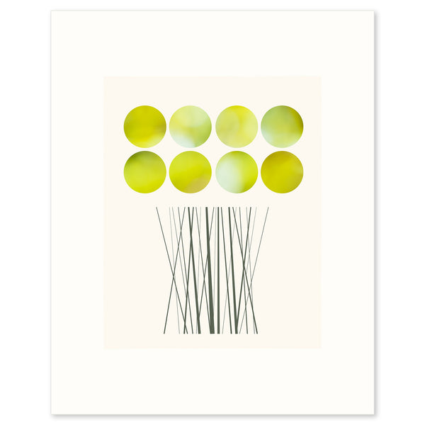 A limited edition fine art print based on a glorious bunch of Daffodils by Janet Taylor | Household Art..